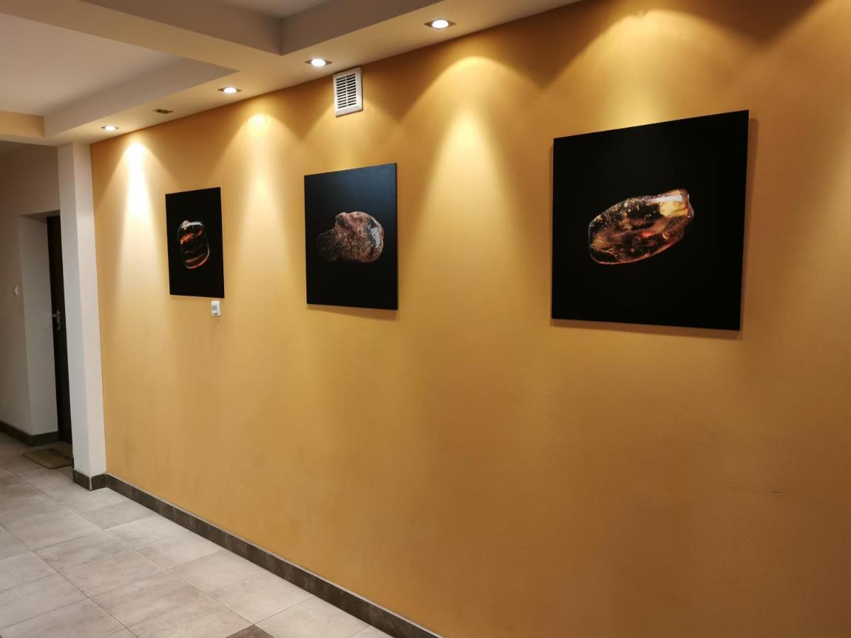 Apartament Arisa Władysławowo المظهر الخارجي الصورة